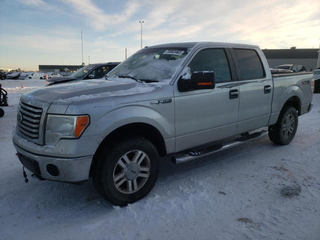 FORD F150 SUPER 2010 with VIN 1FTFW1EV6AFA99313 - Photo from auction