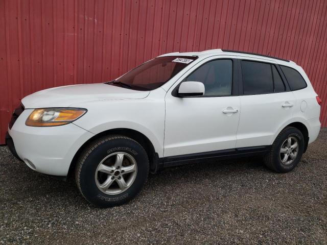 HYUNDAI SANTA FE G 2009 with VIN 5NMSG13E69H301676 - Photo from auction