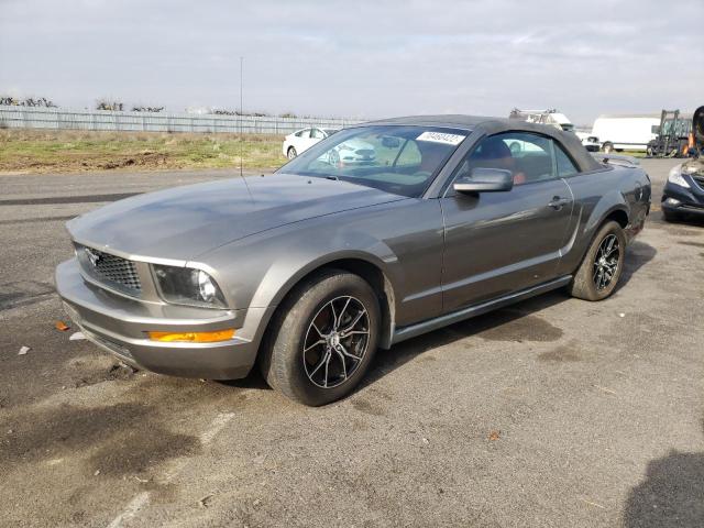 Photo 1 from auction – 2005 FORD MUSTANG with VIN 1ZVFT84N755178551