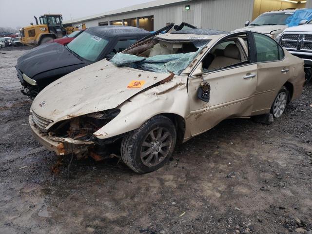 LEXUS ES 330 2004 with VIN JTHBA30G445046460 - Photo from auction