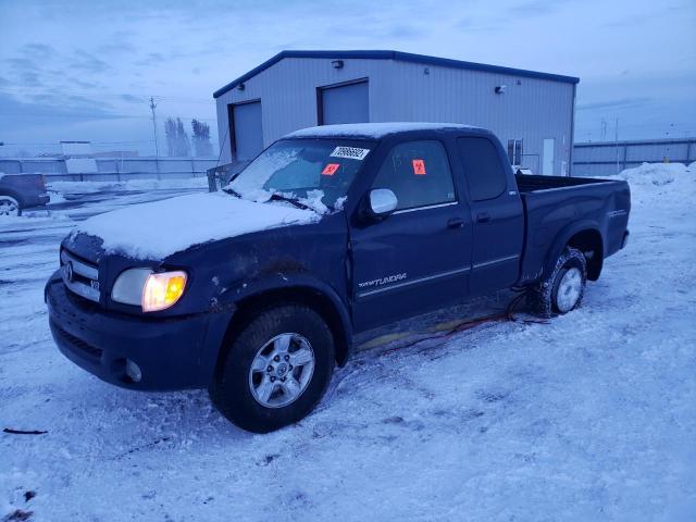 TOYOTA TUNDRA ACC 2003 with VIN 5TBBT44113S388635 - Photo from auction