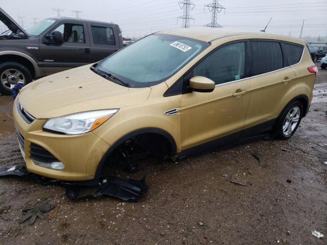 Photo 1 from auction – 2014 FORD ESCAPE SE with VIN 1FMCU0GX7EUD56607