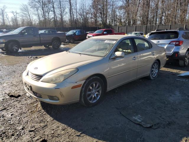 LEXUS ES 300 2003 with VIN JTHBF30GX30116914 - Photo from auction