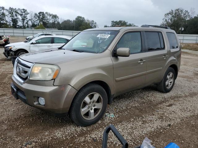 HONDA PILOT EXL 2011 with VIN 5FNYF4H50BB041080 - Photo from auction