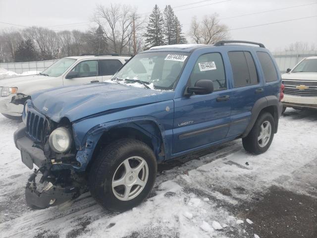 JEEP LIBERTY SP 2004 with VIN 1J4GL48K44W142500 - Photo from auction