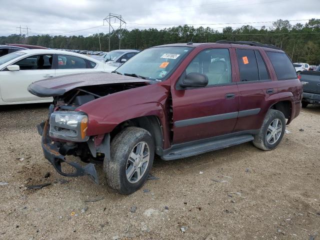 CHEVROLET TRAILBLAZE 2005 with VIN 1GNDS13S852313668 - Photo from auction