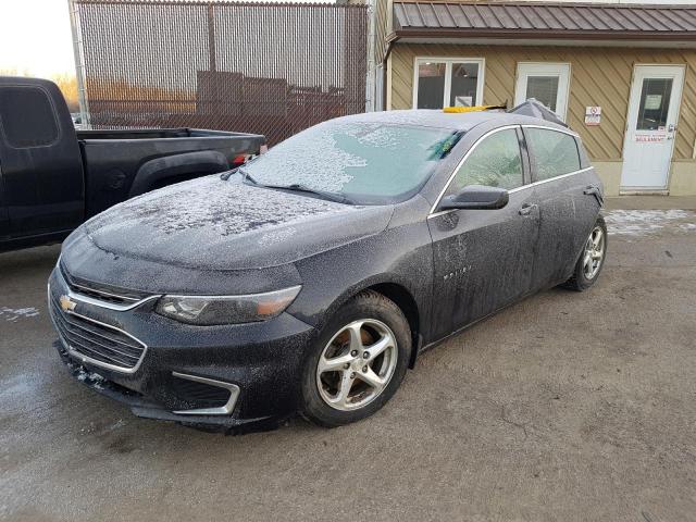 CHEVROLET MALIBU LS 2016 with VIN 1G1ZB5ST4GF348177 - Photo from auction