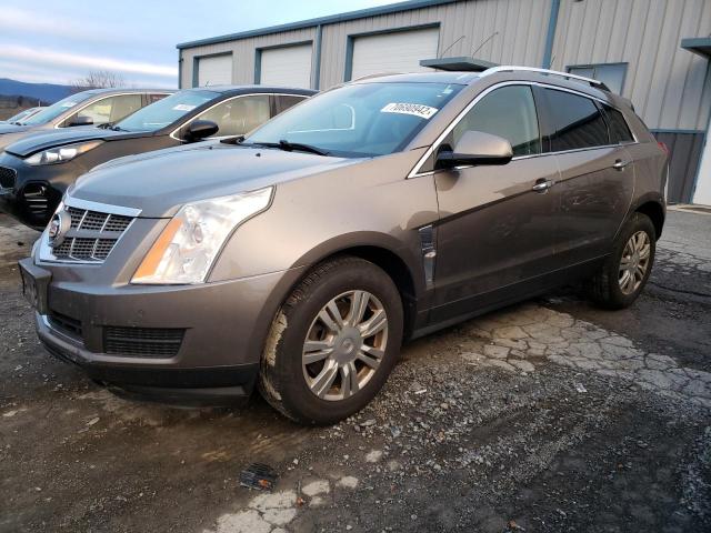 Photo 1 from auction – 2011 CADILLAC SRX LUXURY with VIN 3GYFNDEY9BS649254