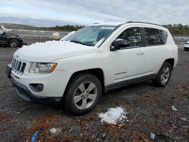 JEEP COMPASS SP 2011 with VIN 1J4NF1FB5BD223241 - Photo from auction