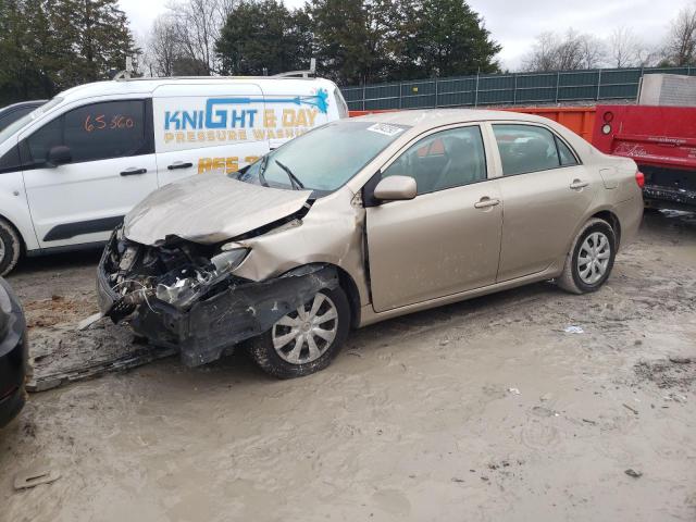 TOYOTA COROLLA 2010 with VIN 2T1BU4EE2AC388493 - Photo from auction