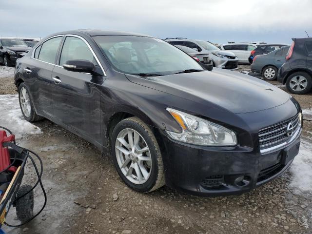 Фото 4 с аукциона – 2011 NISSAN MAXIMA S с VIN 1N4AA5AP5BC857156