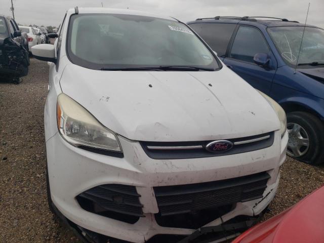 Photo 5 from auction – 2014 FORD ESCAPE SE with VIN 1FMCU0GX6EUA69713