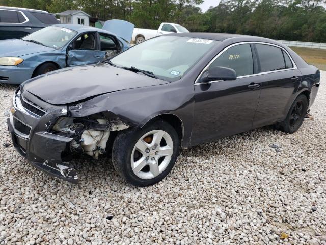 CHEVROLET MALIBU LS 2010 with VIN 1G1ZA5EB2A4141988 - Photo from auction