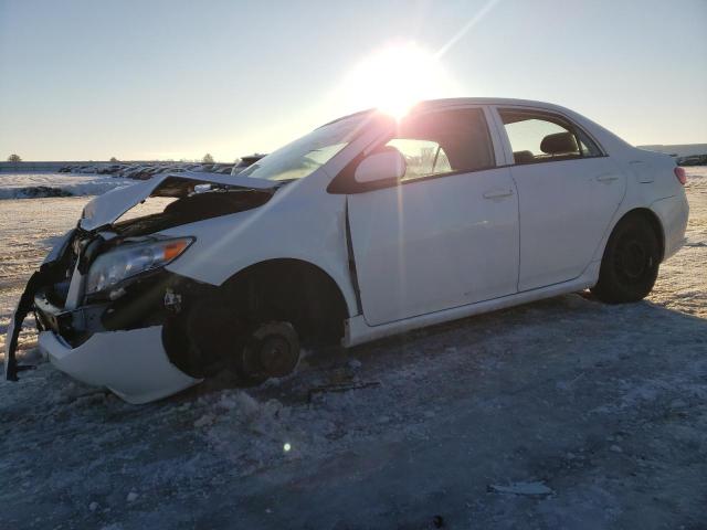 TOYOTA COROLLA BA 2010 with VIN 1NXBU4EEXAZ220390 - Photo from auction