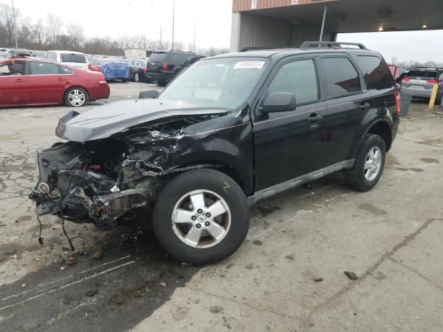 FORD ESCAPE XLT 2009 with VIN 1FMCU03769KC38958 - Photo from auction