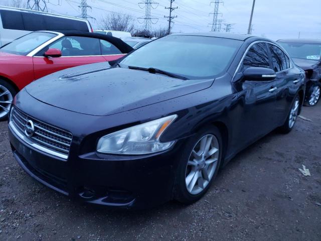 NISSAN MAXIMA S 2010 with VIN 1N4AA5AP5AC846088 - Photo from auction