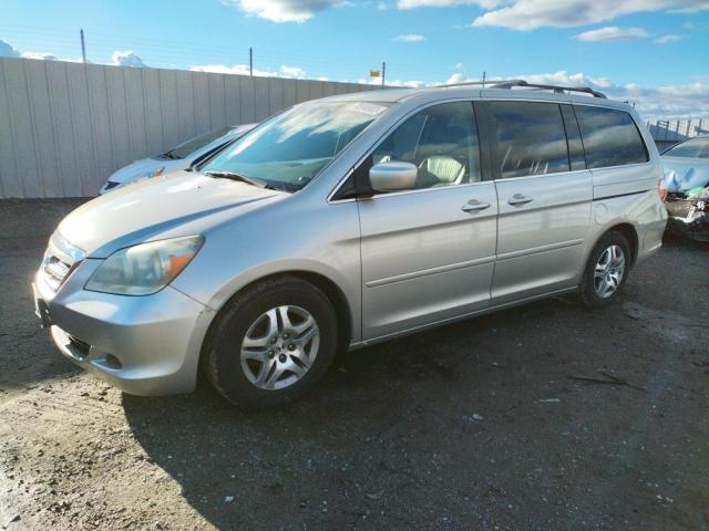 HONDA ODYSSEY EX 2005 with VIN 5FNRL38795B043567 - Photo from auction