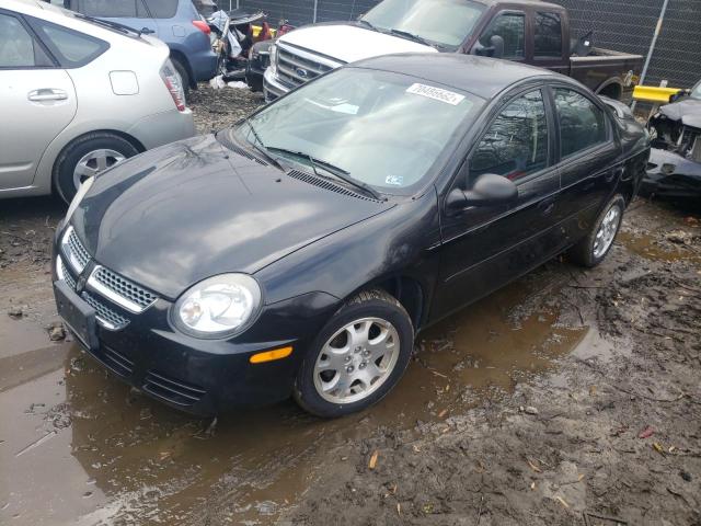 DODGE NEON SXT 2003 with VIN 1B3ES56C93D131747 - Photo from auction