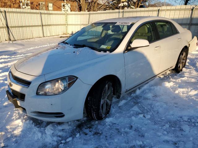 CHEVROLET MALIBU 2LT 2009 with VIN 1G1ZJ57B29F207114 - Photo from auction