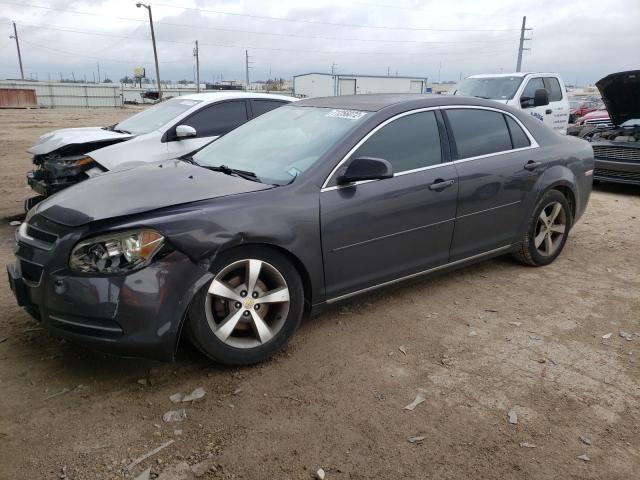 CHEVROLET MALIBU 1LT 2011 with VIN 1G1ZC5E16BF111223 - Photo from auction