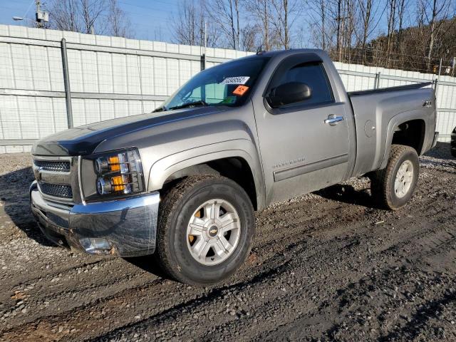 CHEVROLET SILVERADO 2013 with VIN 1GCNKSE09DZ125729 - Photo from auction