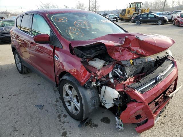 Photo 4 from auction – 2014 FORD ESCAPE SE with VIN 1FMCU0GX8EUB43486