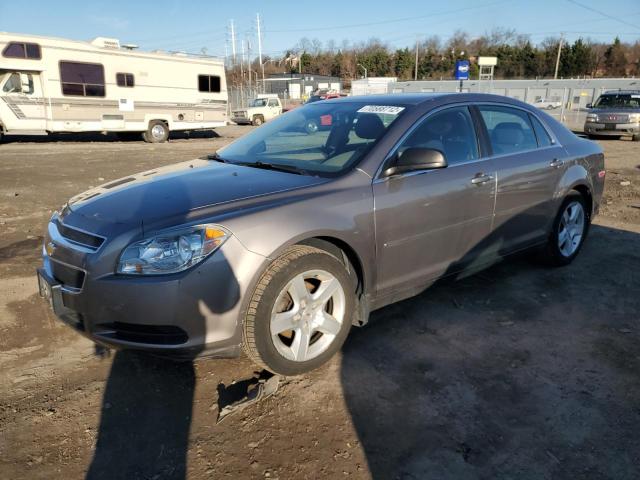 CHEVROLET MALIBU LS 2012 with VIN 1G1ZB5E04CF164417 - Photo from auction