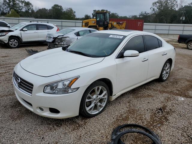 NISSAN MAXIMA S 2011 with VIN 1N4AA5AP0BC857517 - Photo from auction