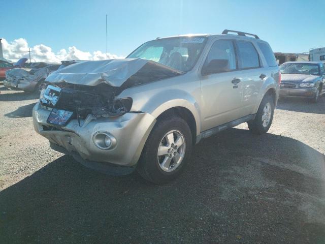FORD ESCAPE XLT 2012 with VIN 1FMCU0DG4CKB91998 - Photo from auction
