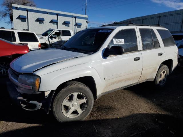 Photo 1 from auction – 2006 CHEVROLET TRAILBLAZE with VIN 1GNDT13S662106789