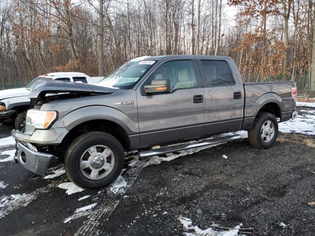 FORD F150 SUPER 2010 with VIN 1FTEW1E87AFA81733 - Photo from auction
