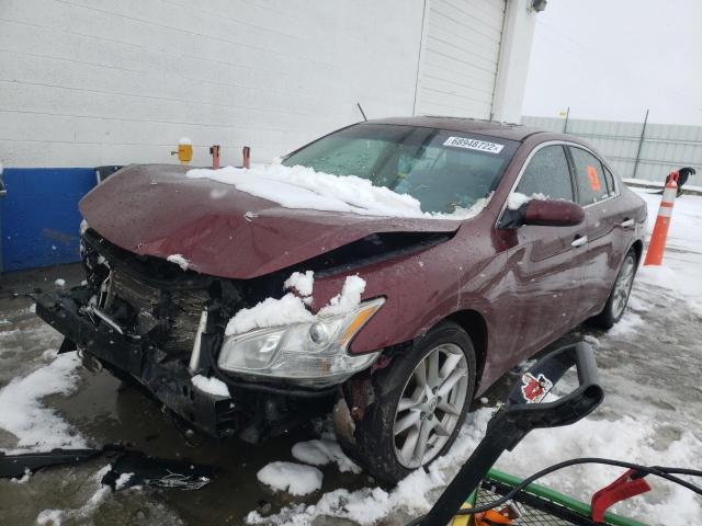 NISSAN MAXIMA S 2011 with VIN 1N4AA5AP4BC811608 - Photo from auction