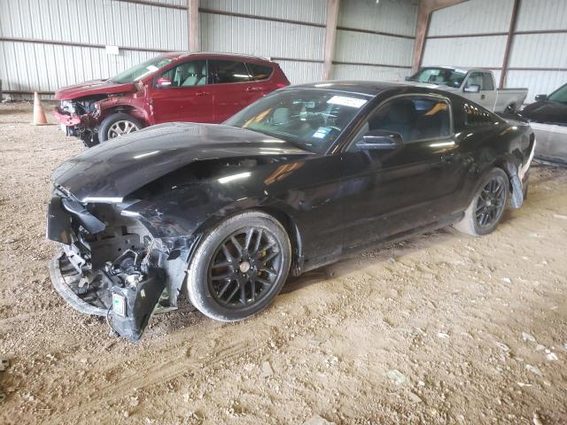 FORD MUSTANG 2014 with VIN 1ZVBP8AM4E5316173 - Photo from auction