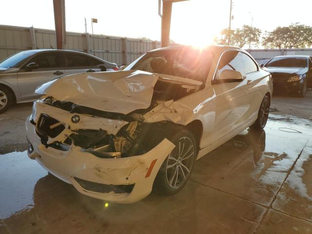 BMW 230I 2019 with VIN WBA2J1C50KVD10075 - Photo from auction