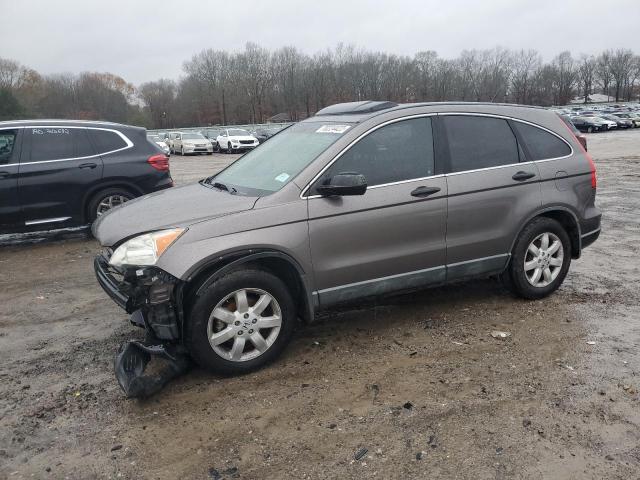 HONDA CRV 2009 with VIN 5J6RE38529L009895 - Photo from auction