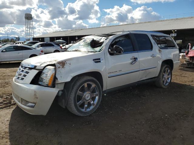 CADILLAC ESCALADE E 2010 with VIN 1GYUKJEF5AR205190 - Photo from auction