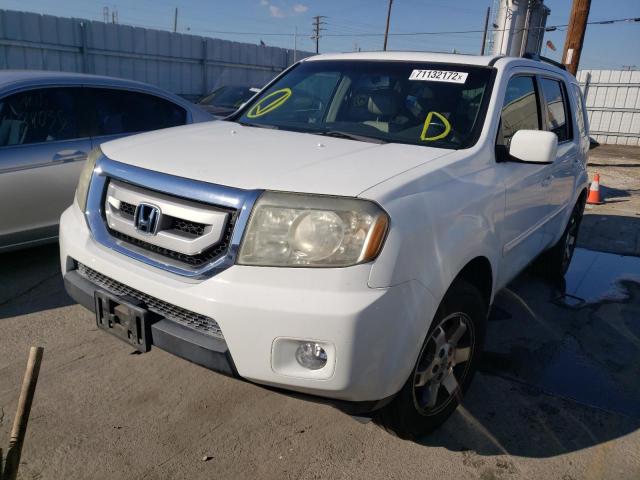 HONDA PILOT EXL 2009 with VIN 5FNYF38649B010573 - Photo from auction