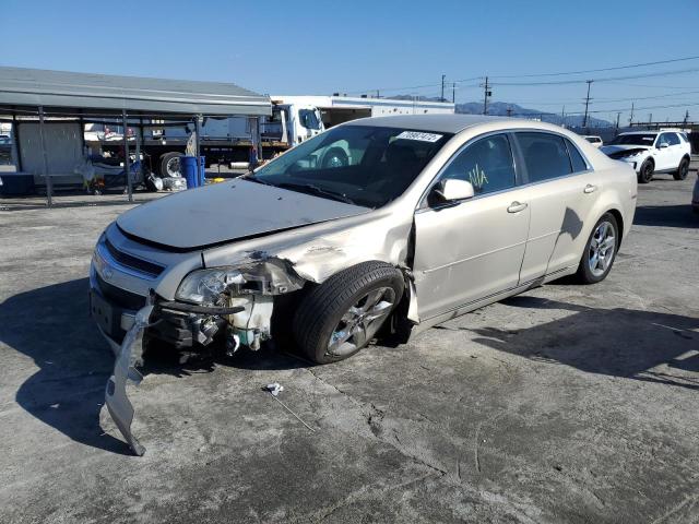 CHEVROLET MALIBU 1LT 2010 with VIN 1G1ZC5EB2AF210421 - Photo from auction