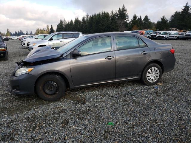 TOYOTA COROLLA BA 2009 with VIN JTDBL40E899034599 - Photo from auction