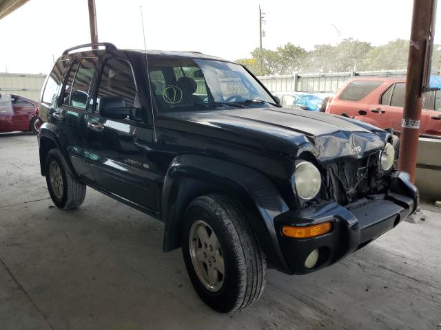 Photo 4 from auction – 2002 JEEP LIBERTY LI with VIN 1J4GL58K62W256386