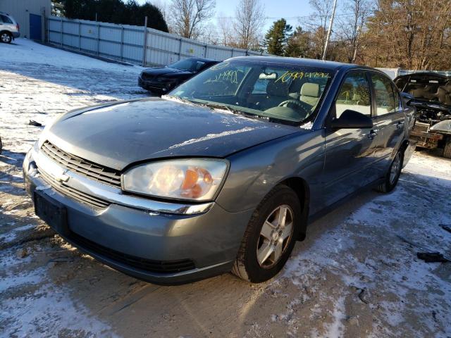 CHEVROLET MALIBU LS 2005 with VIN 1G1ZT54895F322791 - Photo from auction