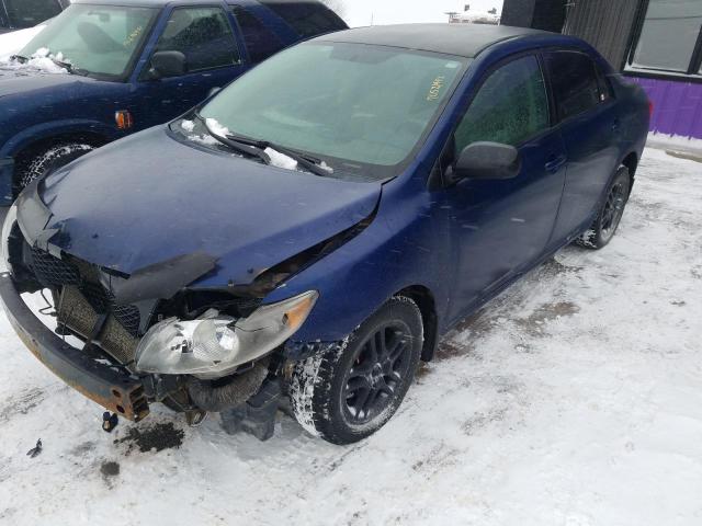 TOYOTA COROLLA BA 2010 with VIN 2T1BU4EEXAC201887 - Photo from auction