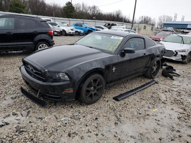 FORD MUSTANG 2014 with VIN 1ZVBP8AM4E5209429 - Photo from auction