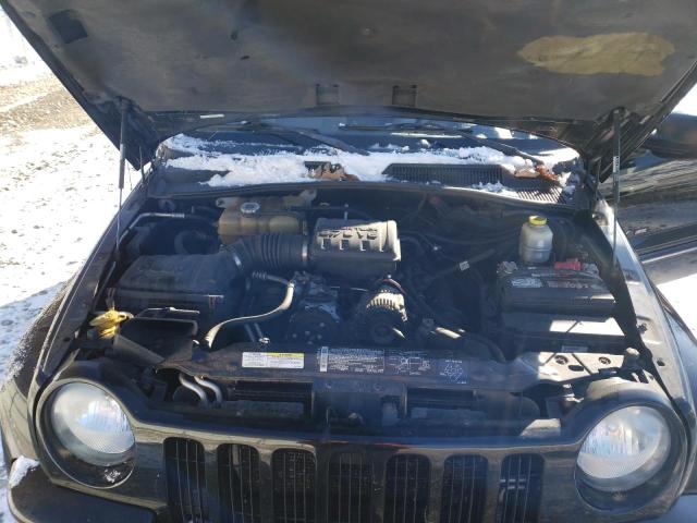 Photo 12 from auction – 2003 JEEP LIBERTY LI with VIN 1J4GL58K63W690423