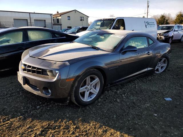 CHEVROLET CAMARO LT 2010 with VIN 2G1FB1EV6A9130766 - Photo from auction