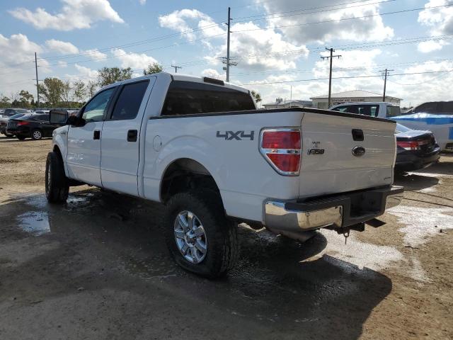 Photo 2 from auction – 2009 FORD F150 SUPER with VIN 1FTPW14V79FA03903