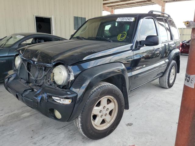 Photo 1 from auction – 2002 JEEP LIBERTY LI with VIN 1J4GL58K62W256386