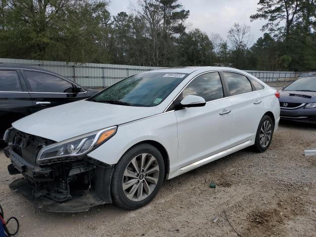HYUNDAI SONATA SPO 2017 with VIN 5NPE34AF3HH497731 - Photo from auction