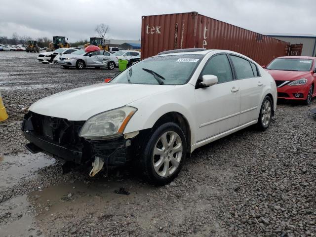 NISSAN MAXIMA SE 2008 with VIN 1N4BA41E98C815630 - Photo from auction