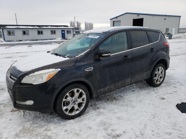 FORD ESCAPE SEL 2013 with VIN 1FMCU9H95DUD80259 - Photo from auction